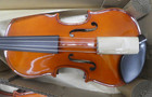 Franz Hoffmann Amadeus Viola Size 13   Instrument Only   For Beginners