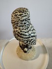 Snowy Owl Figurine 6    Hand Painted Resin Wildlife Bird Sculpture Home Decor