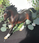 Copperfox Celtics Warrior Irish Sport Model Horse Like Breyer peter Stone