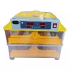 48eggs Digital Clear Egg Incubator Hatcher Automatic Turning Temperature Control