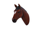 Life Size Chestnut Horse Head Statue Prop Equestrian Barn Wall Decor Display