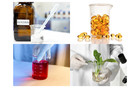 Hda Beaker 100ml-2000ml Borosilicate Glass 3 3 Low Shape With Spout  Graduated