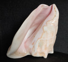 9  Vintage Pink Conch Shell Seashell Beach House Decor