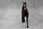 Peter Stone Living Horse Series Red Bay Asb Pebbles