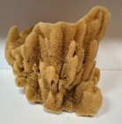 Large Bowl Shape Natural Sea Sponge Ocean Life Florida 9  Tall X 11  Wide X 9 