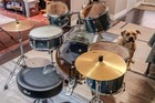 Pearl Acoustic Drum Set     Complete Kit