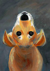 Aceo Original Art Card - Print Puppy Dog - 2 5x3 5in -