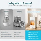 Livatro 6l Warm Steam Humidifier 24h Runtime Auto Humidity 304 Steel  Sleep Mode