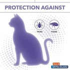 Hartz Ultraguard Flea   Tick Collar For Cats   Kittens 7 Months Protection  1ct