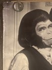 1998 Planet Of The Apes Promotional Poster The Apes Go Classic