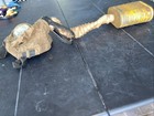Original Ww1 U s Gas Mask