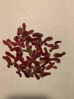 30 Fresh Japanese Red Maple Seeds  acer Palmatum 