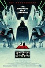 1980 Star Wars The Empire Strikes Back 40th Anniversary Movie Poster 11x17     