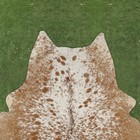 100  Real Natural Area Cow Hair On Cowhide Skin Floor Rug Carpet 54 x49   Cc1233