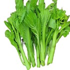 300  Mustard Tai Mustard Sum Seeds 300                               2025            