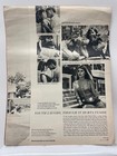 Budweiser 1965 Magazine Ad Beer Drinker s Quiz Vintage Print Anheuser-busch