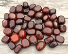 Wholesale 2 Lbs  Natural Brecciated Jasper Tumble Stone Crystal Healing Energy