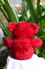 Dan Dee Plush Bear 2010 Sweetheart Teddy Beautiful Red 