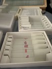 Large Vintage Collection Of Prepared Biological Microscope Slides In Wooden Box