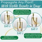 Houseplant Prop Drops     Rooting Hormone For Stronger Plants   Cuttings  8oz 