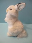 Hansa Plush Realistic White Tailed Rabbit Portraits Of Nature   3313 W tags 2015