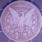 1884 Morgan Silver Dollar Us Coin Lady Liberty Eagle One Dollar