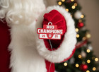 Indiana Hoosiers 2025 Big Ten Champions Ornament Retro Crimson White