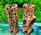 Teddy Bear Cholla Wood   2 Pcs  6  Inch   Nice Air Plant Display Stands   Crafts