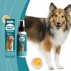 Pup Labs K9 Soothe Anti Itch Spray For Dogs With Aloe  Rose   Coconut  4 Fl Oz