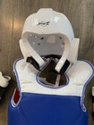 Martial Arts Size 3 Reversible Sparring Chest Protector Head  Legs  Hands  Feet