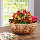 Bhg Natural Water Hyacinth Decorative Bowl With Handles