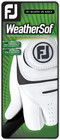 Footjoy Men s Weathersof Prior Generation Golf Glove