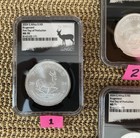 2024 S  Africa S1kr Silver Krugerrand Ngc Ms70 Fdp  1 Gm Special Silver Label