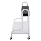 2 Layer Silver Beauty Salon Nail Or Foot Bath Spa Portable 4 Wheeled Trolleys