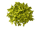 Clay Pakalana Flower Beads  style1  For Jewelry Making  Diy  Craft Supplies