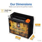 Pirate Battery Ytx20l-bs Agm Powersports Battery 18ah 270 Cca 18-month Warranty