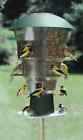 New Wildd Bills Electronic Squirrel Proof Bird Feeder 12 Ports