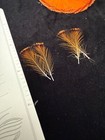 Vintage Peruvian Cock Of The Rock Crest Feathers