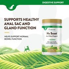 Naturvet No Scoot Gently Supports Natural Dog Bowel Function 30 Day 155 Grams