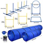 Outdoor 5 Pcs Dog Pet Agility Training Equipment Backyard Starter Course Set