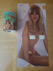 Playboy Playmate Puzzles  Miss April Gwen Wong   Miss October Majken Haugedal
