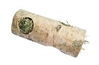 Small Animal Birch Tunnel With Hay - Medium