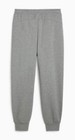 Puma Bmw M Motorsport Ess  Fleece Pants Grey