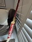  Brian s Pro Goalie Stick 3 Autographs Fla Panthers Trevor Kidd   Look   This   