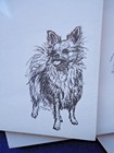 Pomeranian 3 Notepads 50 Sheets 8 5 X 5 5 New Black   White Drawing New