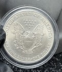American Eagle Silver Dollar  2000  Colorized 