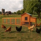Chicken Coop Outdoor Wooden Backyard 2-story Hen House Chicken Run Garden House