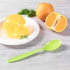 Karat Pp Plastic Extra Heavy Weight Tea Spoons - Green - 1 000 Ct  U2033  green 