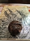 1618 Green Cabin Wreck San Martin Honduran Fleet Swivel Gun Cannon Ball