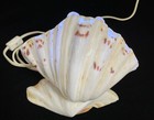 Vintage Unique Handcrafted Seashell Nightlight Small Table Light  84